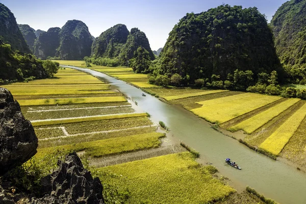Pirinç alan ve Tamcoc, Ninhbinh, Vietnam Nehri