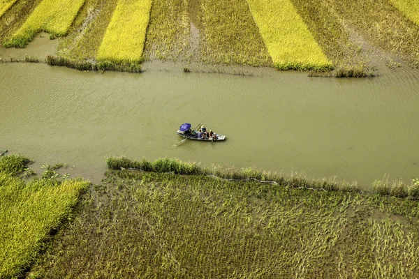 Pirinç alan ve Tamcoc, Ninhbinh, Vietnam Nehri