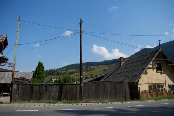 Çiçekli tepe ile yeşil doğa