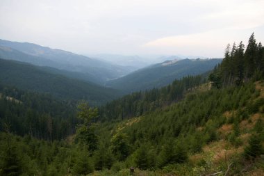 Karpatların Rarau Dağları