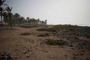 Tenerife adasının kıyısında