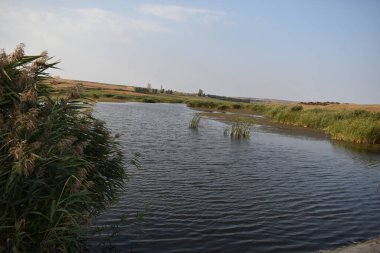 Bir köyde balık çiftliği