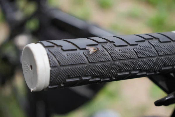 Üzerinde böcek olan bisiklet sapı.