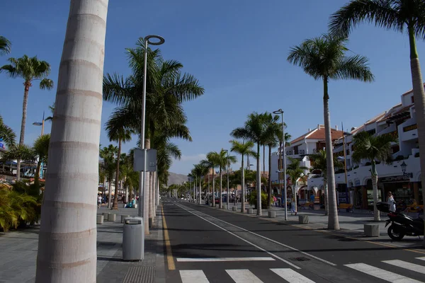 Asfalt yolu, Tenerife kaldırımında palmiye ağaçları...