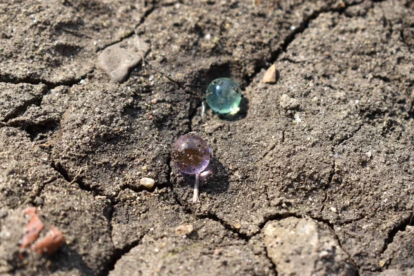 Güzel su topları olan jöleler.