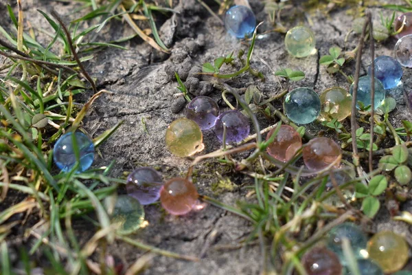 Güzel su topları olan jöleler.