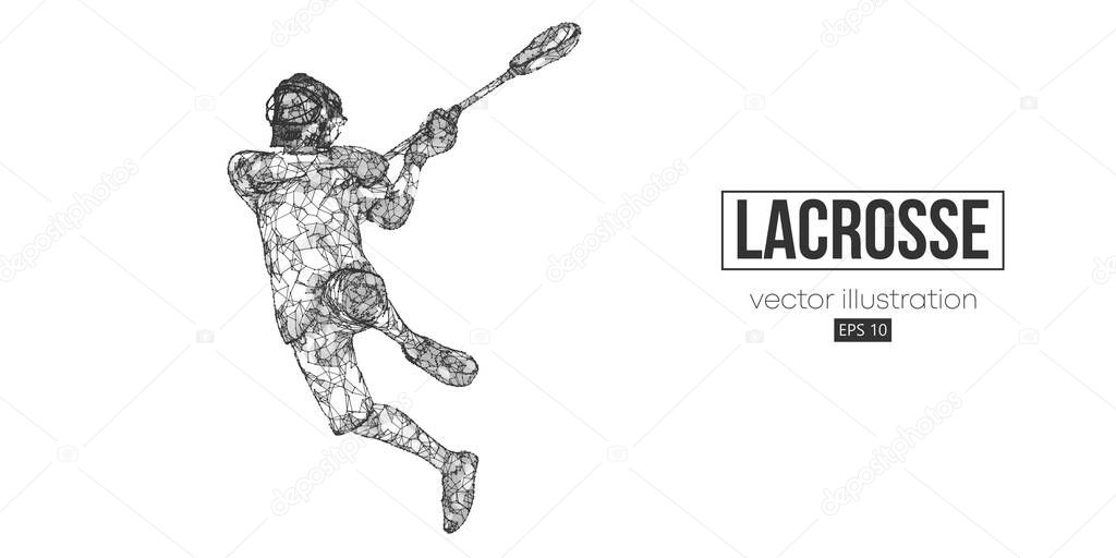 Abstract silhouette of a wireframe lacrosse player from particles on the white background. Convenient organization of eps file. Vector illustartion.