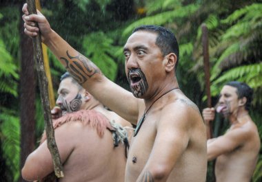 Maori savaşçı güçlü bir kültürel performans