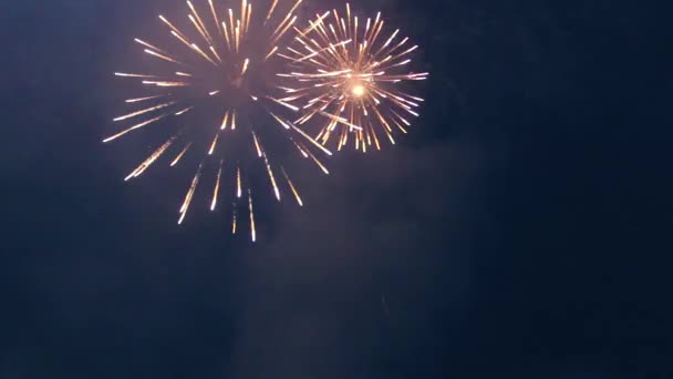 Vuurwerk aan de nachtelijke hemel. — Stockvideo