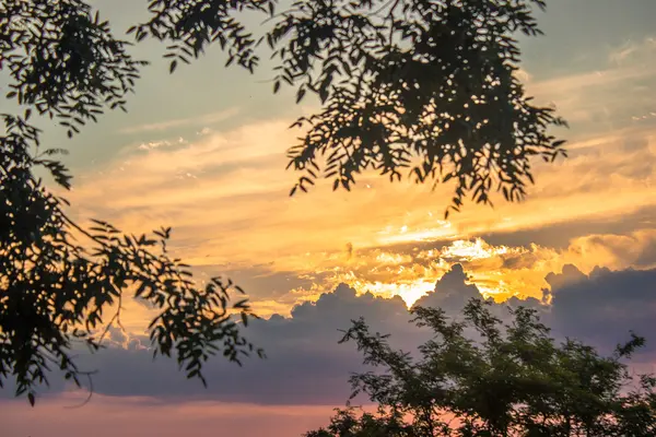 Ağaçların arasından gün doğumu