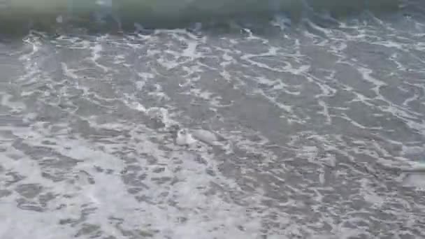 Val pe plajă — Videoclip de stoc