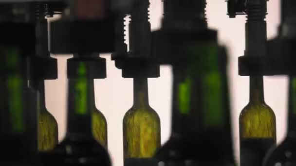 Bordeaux Saint Emilion şişeleme birimi — Stok video
