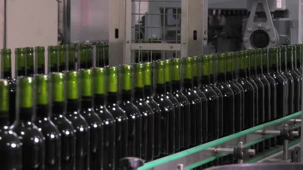 Bordeaux Saint Emilion butelkowania jednostki — Wideo stockowe