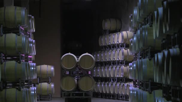 Bordeaux Saint Emilion bottling unit — Stock Video