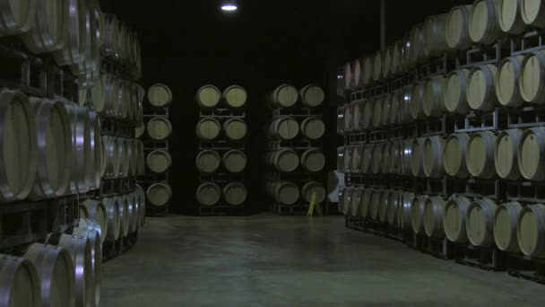 Бордо Saint-Emilion розливу одиниці — стокове відео