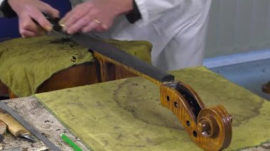 bir luthier bir çello dokunuş yerini alır.