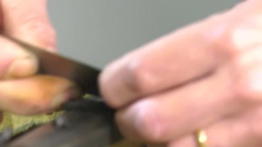 bir luthier bir çello dokunuş yerini alır.