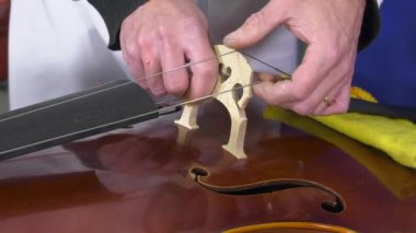 luthier kurar ve şövale ayarlar