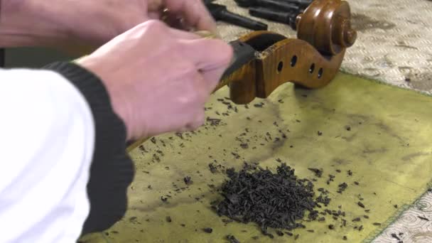 Un luthier reemplaza el toque de un violonchelo — Vídeos de Stock