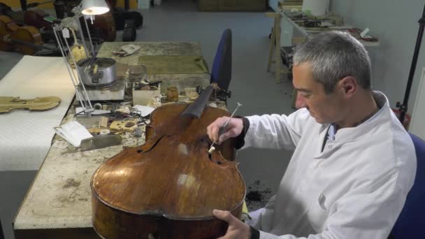 Geigenbauer positioniert eine Cello-Seele — Stockvideo