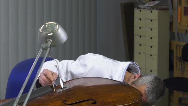 Luthier positions a cello soul — Stock Video