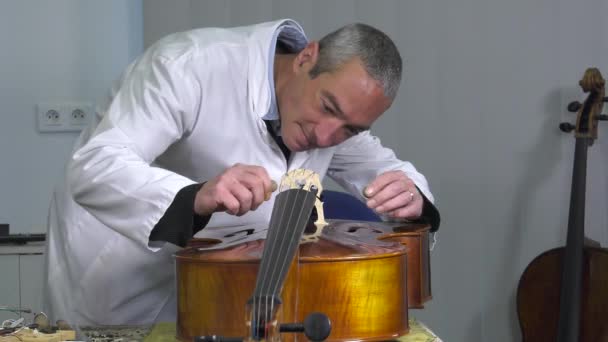 Luthier instala y ajusta el caballete — Vídeos de Stock