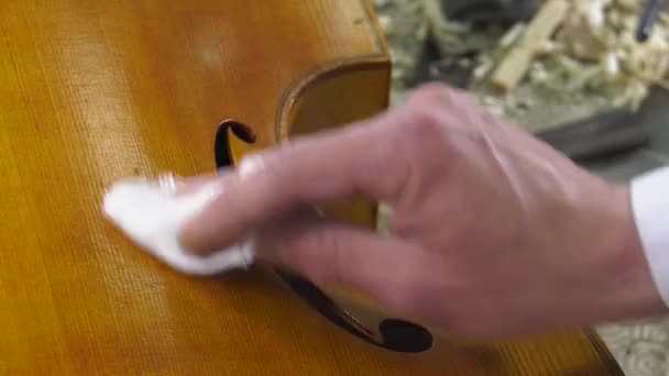 A luthier the polished surface of a baroque instrument — Stock Video