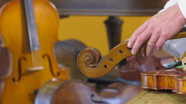 El luthier establece cuatro cuerdas clave — Vídeos de Stock