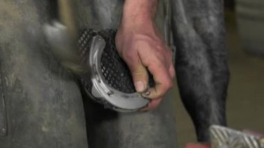 bir usta nalbant Değiştir nal