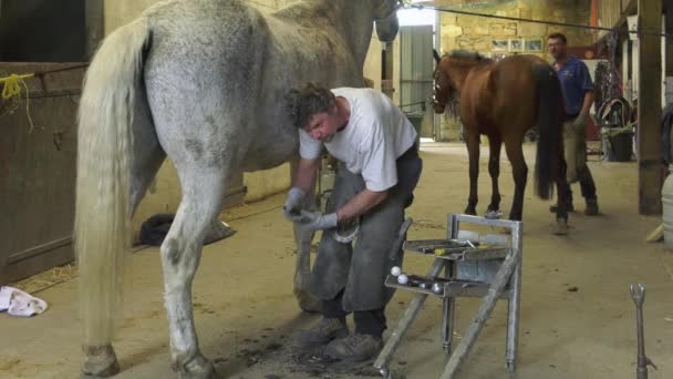 Un contadino artigiano sostituisce i ferri di cavallo — Video Stock