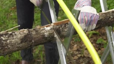 Tamirci meşe günlükleri el ile gördüm