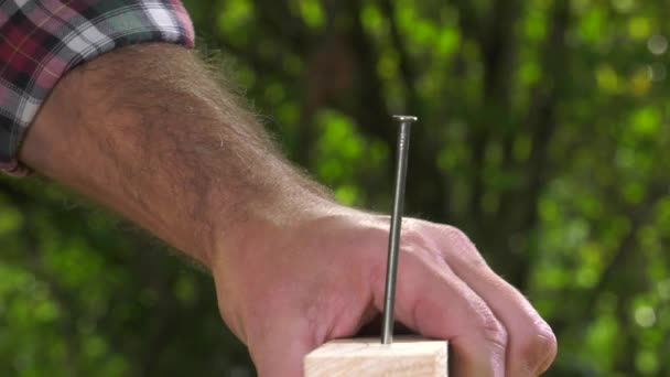 Carpenter nailing a tip with a hammer — Stock Video