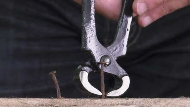 Puxando uma ponta de carpinteiro com alicate — Vídeo de Stock