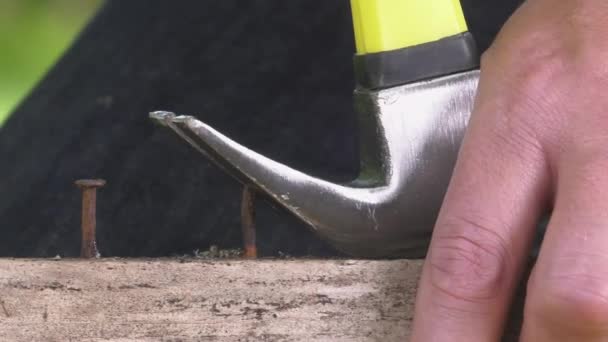 Trekken van een timmerman nagel met een hamer — Stockvideo