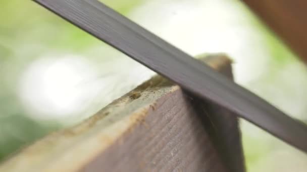 Usando um rasp de madeira na borda de uma placa — Vídeo de Stock