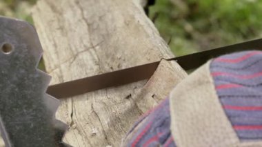 Tamirci meşe günlükleri el ile gördüm