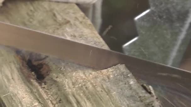 bûches de chêne sciées à la main 