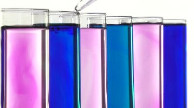 sıvı bir pipet ile mavi ve pembe test tüpleri ekleme