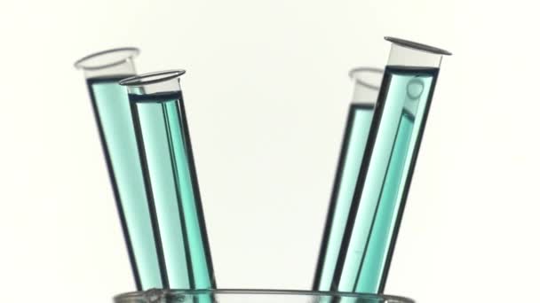 Заполненные пробирки с голубой жидкостью на вращающемся столе — стоковое видео