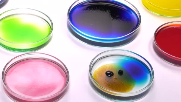 Ablagerung dunkler Flüssigkeitstropfen mit einer Pipette in einer Petrischale
