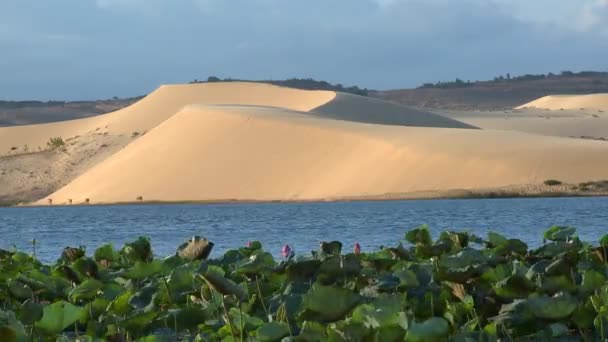 Mui Né dune di sabbia — Video Stock