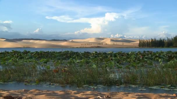 Mui Né dunas de areia — Vídeo de Stock