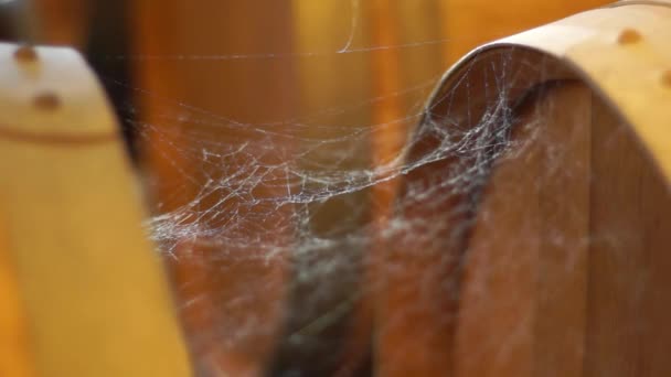 Spider Web op een vat — Stockvideo