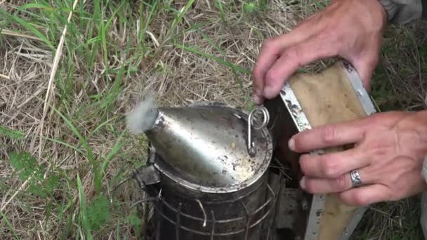 Готуємо курця сухими травами — стокове відео