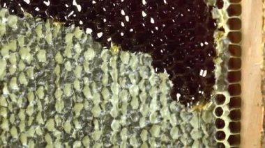 sürdürdük çerçeveler