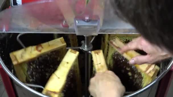 Dob méz extrakció előtt keretek helyének ellenőrzése — Stock videók