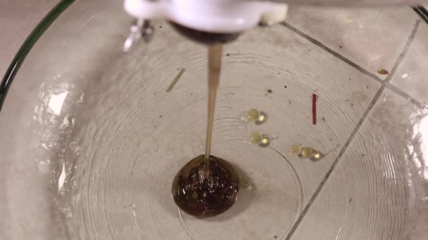 The unfiltered honey flowing from machine — Stock Video