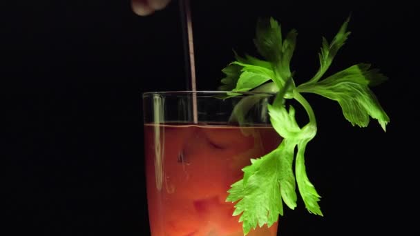 Omröraren pinne i Bloody Mary med selleri blad — Stockvideo