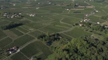 Pomerol bağ havadan görünümü