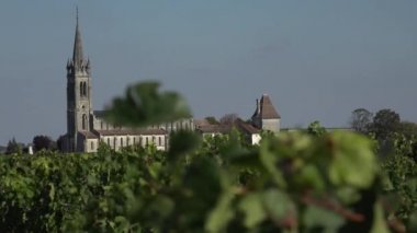 Pomerol Bordeaux üzüm bağı içinde
